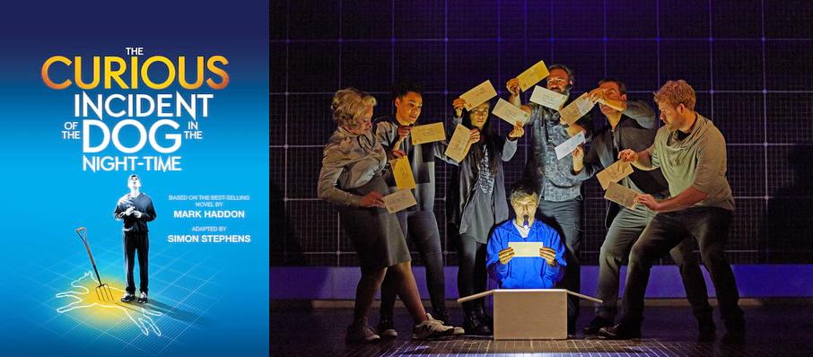 The Curious Incident of the Dog in the Night-Time at Gielgud Theatre