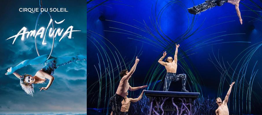 Cirque du Soleil - Amaluna at Royal Albert Hall