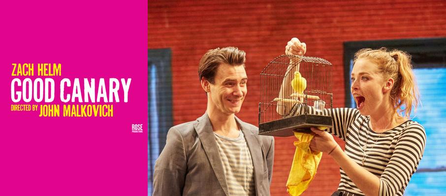 The Good Canary at Rose Theatre