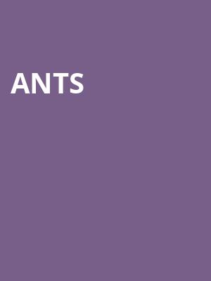ANTS at O2 Academy Brixton
