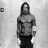 Iggy Pop & The Stooges