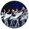 Magia de la Danza at London Coliseum, London