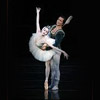 Swan Lake at London Coliseum, London