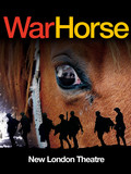 War Horse
