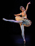 The Nutcracker 