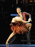 Latin Fever