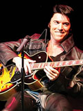 One Night With Elvis
