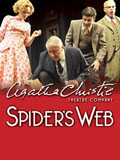 Spiders Web