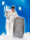 Liberace Live From Heaven
