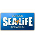 London Aquarium