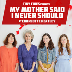 Essays on my mother said i never should image