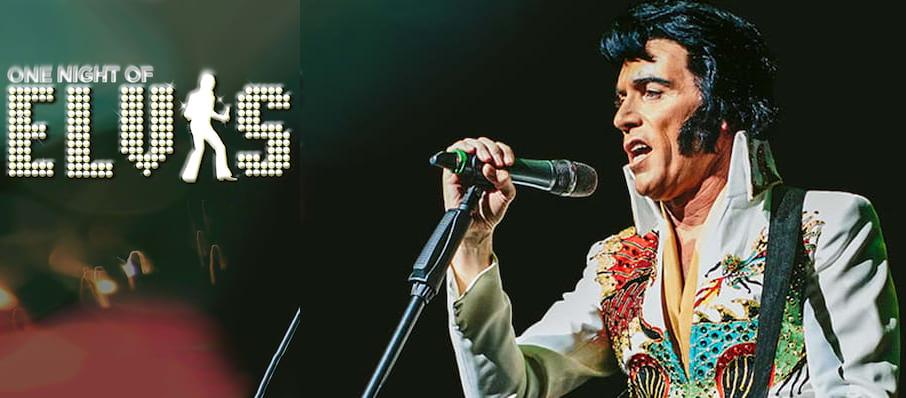 One Night of Elvis - Lee Memphis King at Richmond Theatre