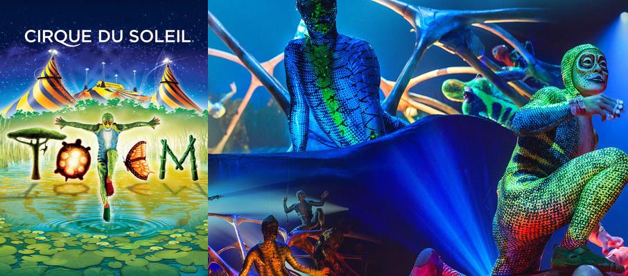 Cirque du Soleil - Totem at Royal Albert Hall