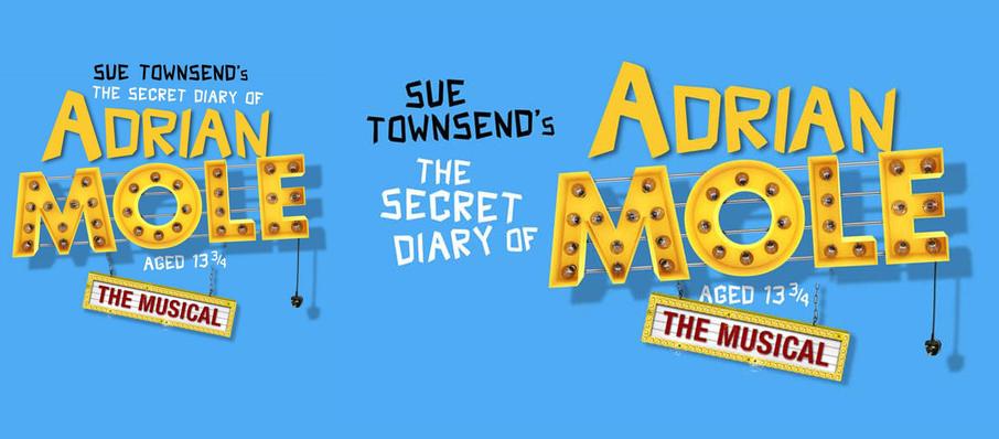 The Secret Diary of Adrian Mole Aged 13 3/4 at Ambassadors Theatre