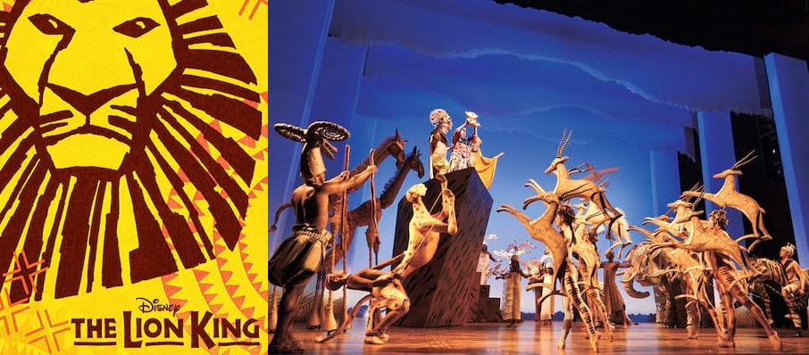 online The Lion King in Florida
