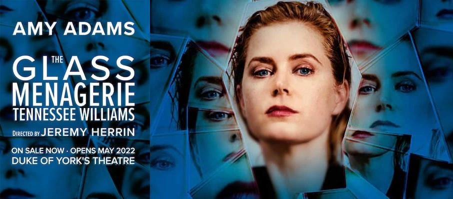 The Glass Menagerie, Duke of Yorks Theatre, London